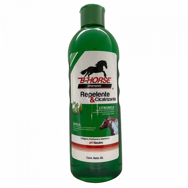 Shampoo para caballo BHorse